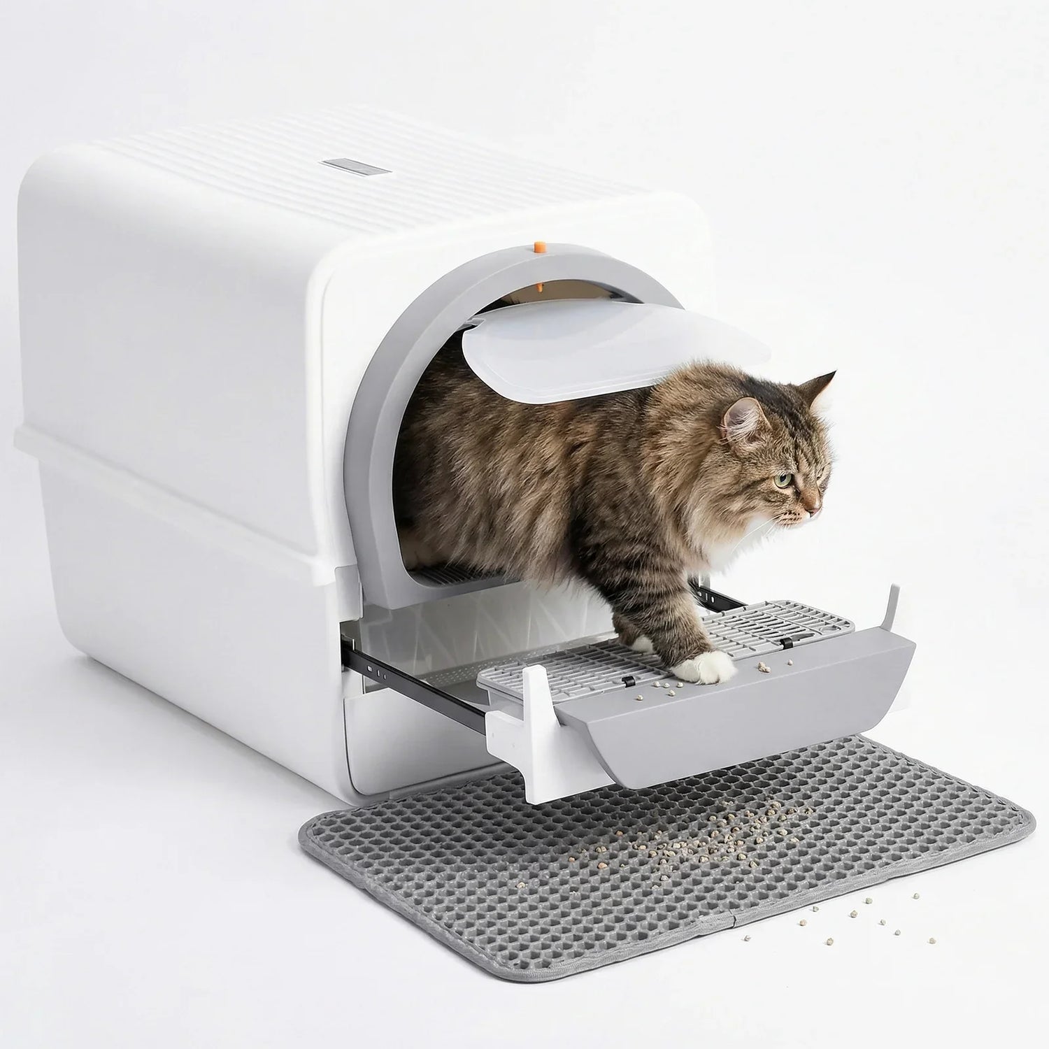 Litter Boxes and Supplies