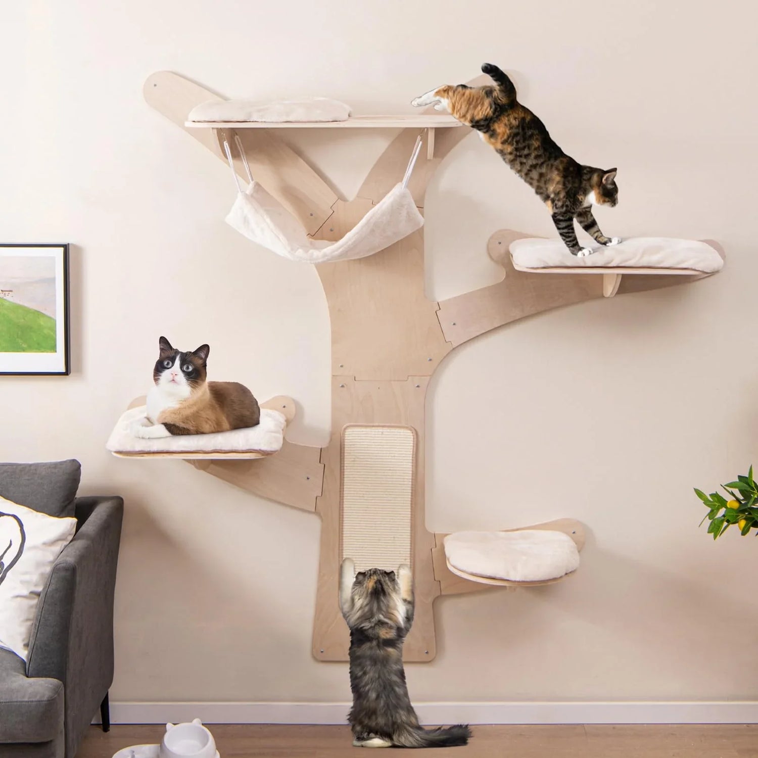 Cat Trees
