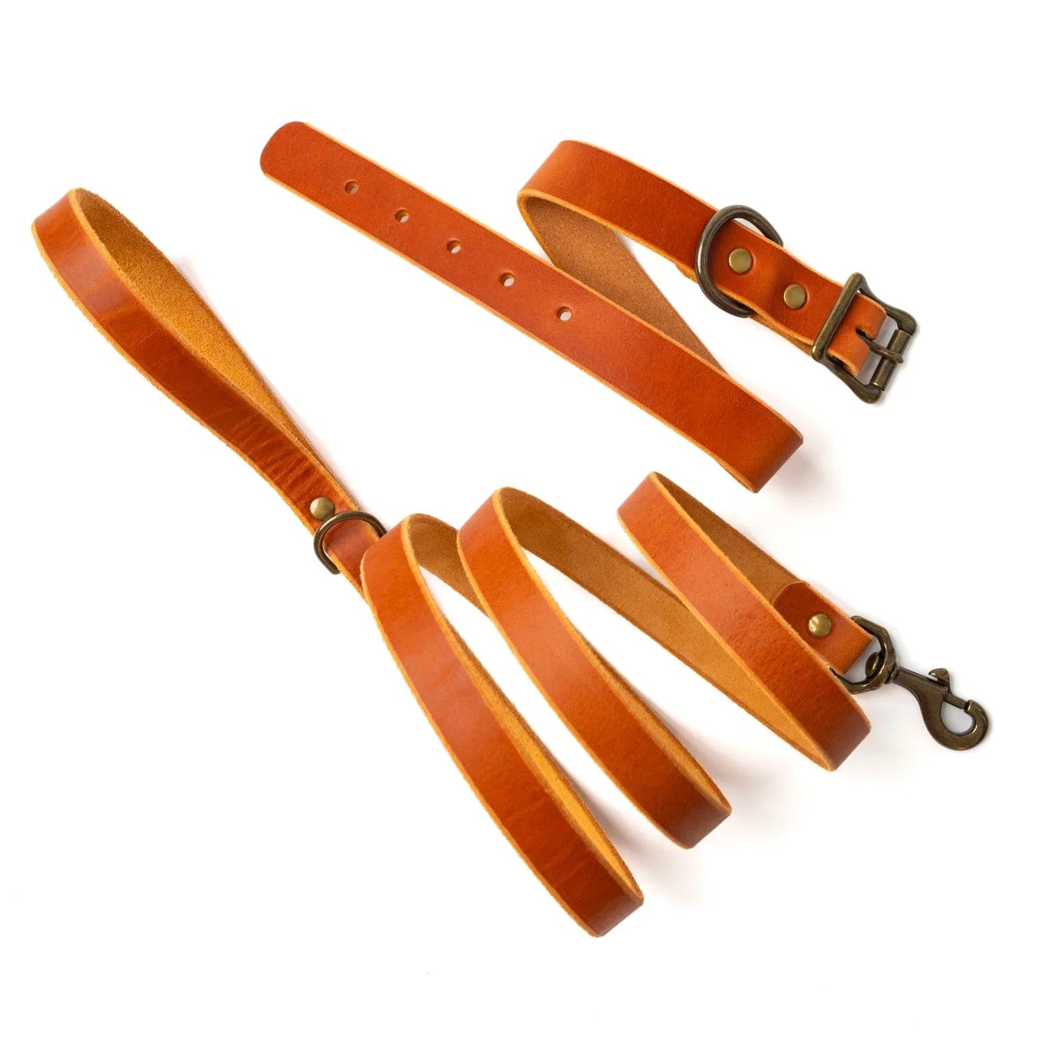 Collars and Leashes