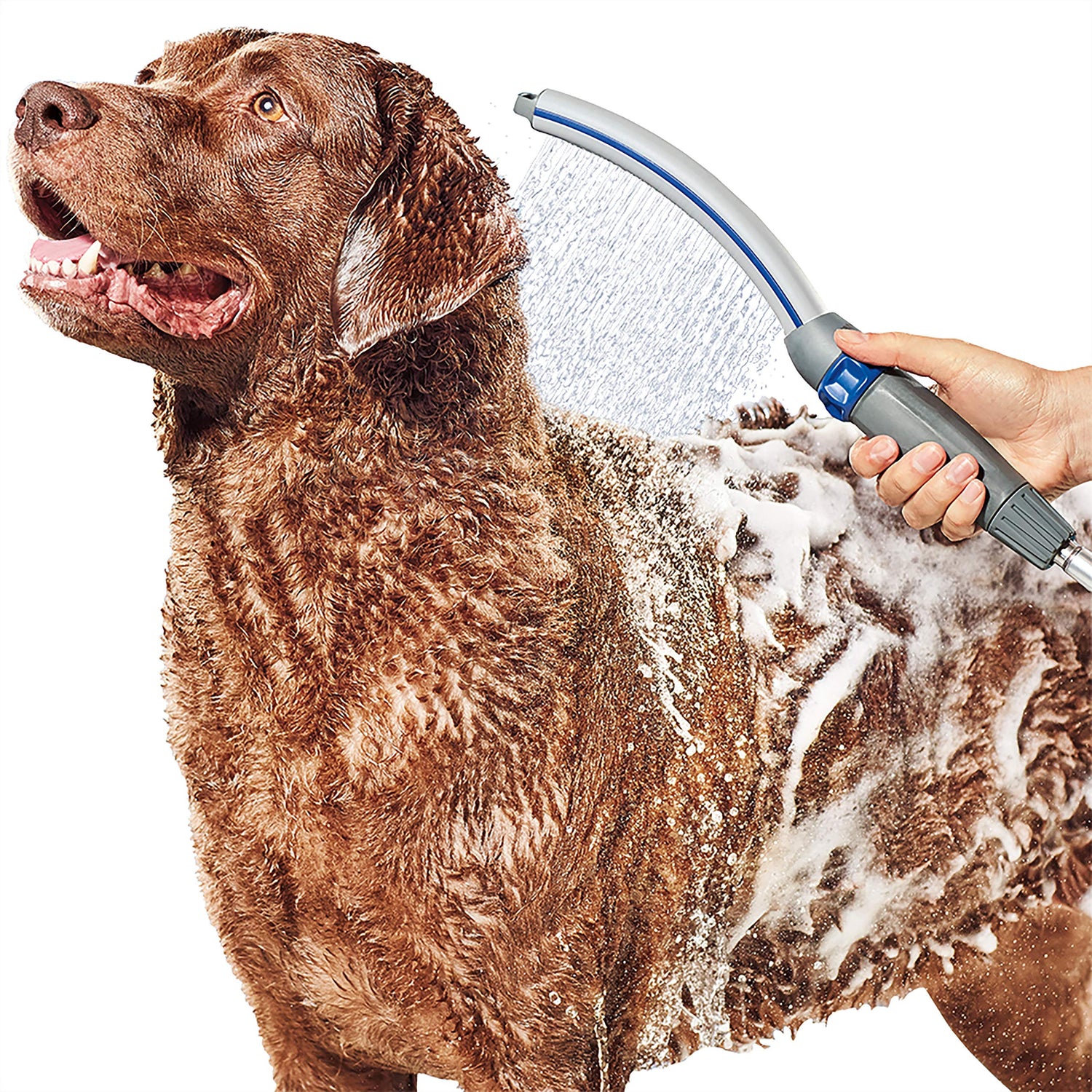 Shampoos and Conditioners