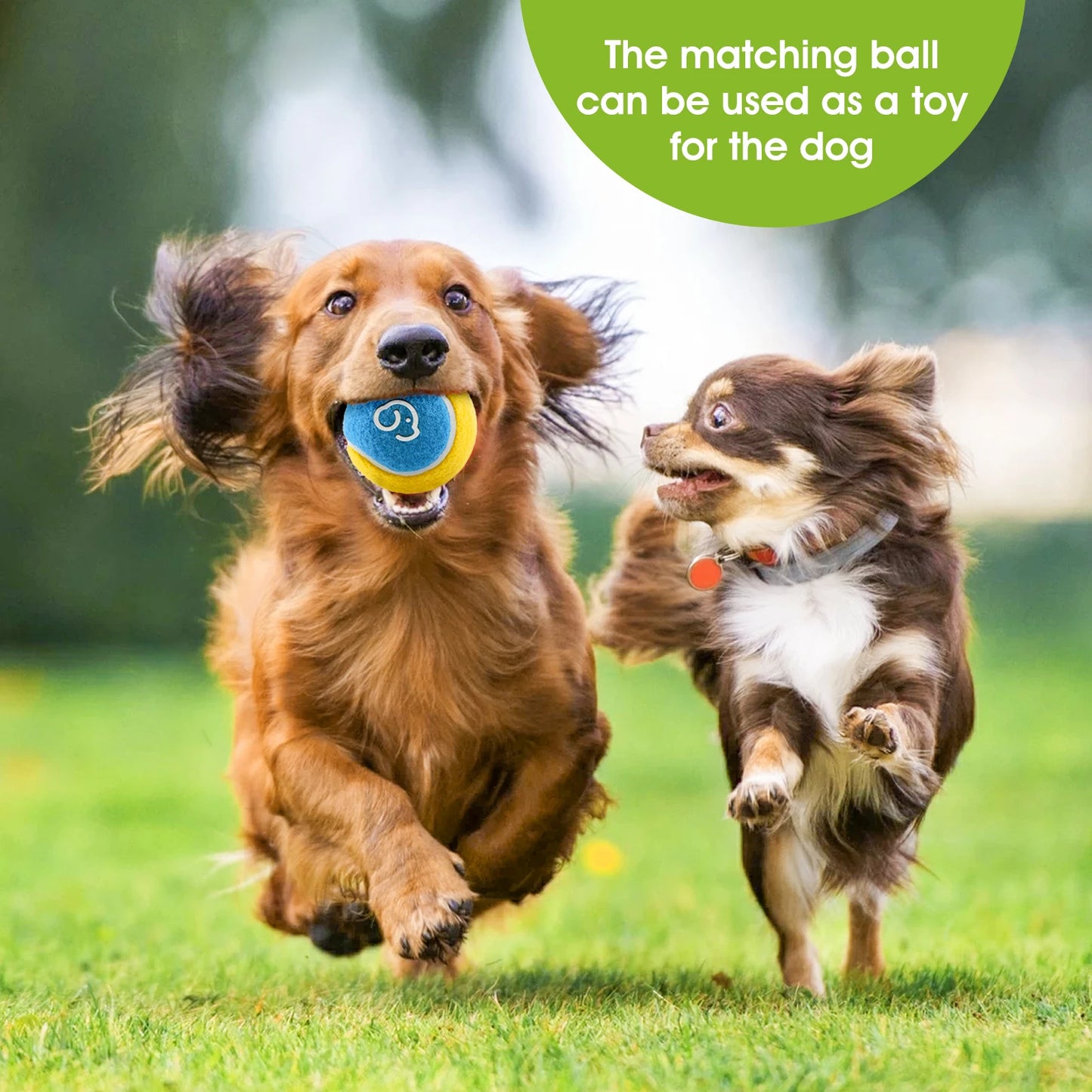 Super Design Pet Throwing Stick, Throwing Device, Throwing Toy, Dog Interactive Ball Picking Pet Toy Training Toys Pet Supplies