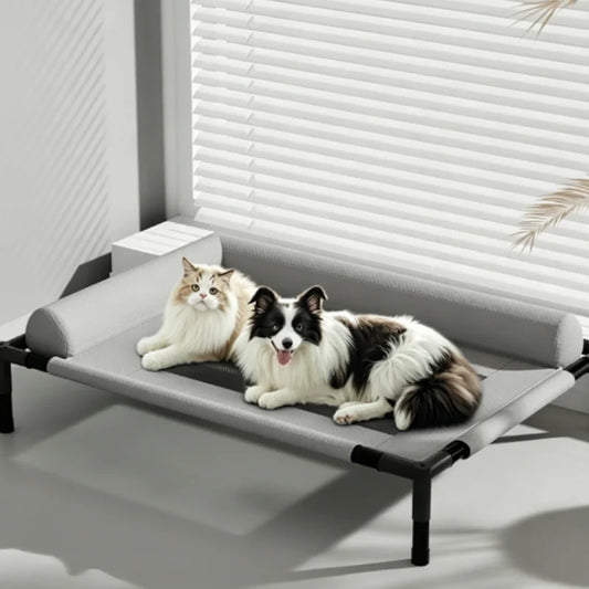 Medium Large Pet Bed Breathable Raised Mesh Sofa for Cats And Dogs with Removable Washable Pillow Moisture-Proof Off-the-Ground