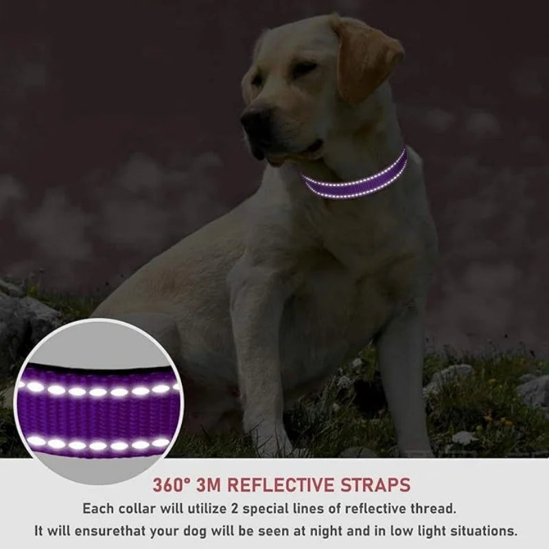 Pet collar, reflective dog collar, adjustable to prevent strangulation, shockproof, suitable for small and medium-sized dogs