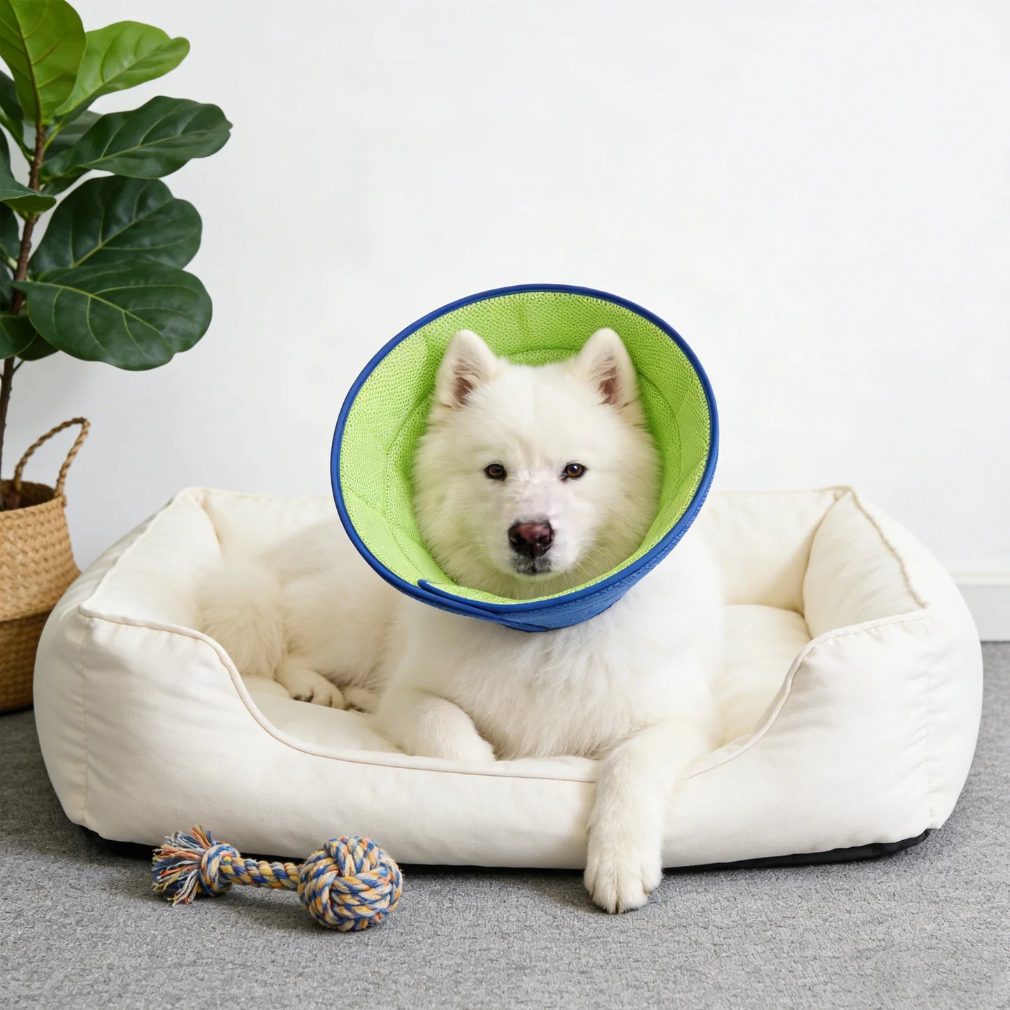Dog Cone Collar: Soft Recovery Collar for Small Medium Large Dogs. Prevents Biting, Scratching & Licking Wounds After Surgery