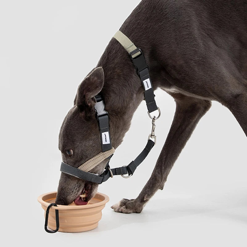 Dog Mouth Anti Barking Bark Collar Dog Adjustable Training Mesh Fabric Explosion-proof Flushing Control Traction Pet Supplies