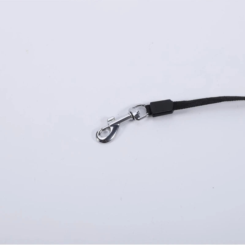 Retractable Adjustable Dog Leash For Medium Dogs Walking Lead Dog Chain Durable Pet Traction Rope Outdoor Walking Pet Supplies
